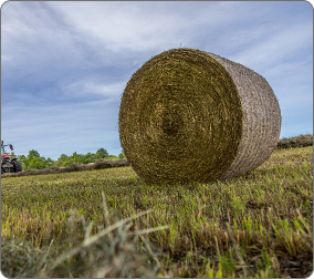 round hay bale wrapped in synthetic twine.